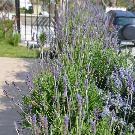 דירה Apartments Portorose בפורטורוז