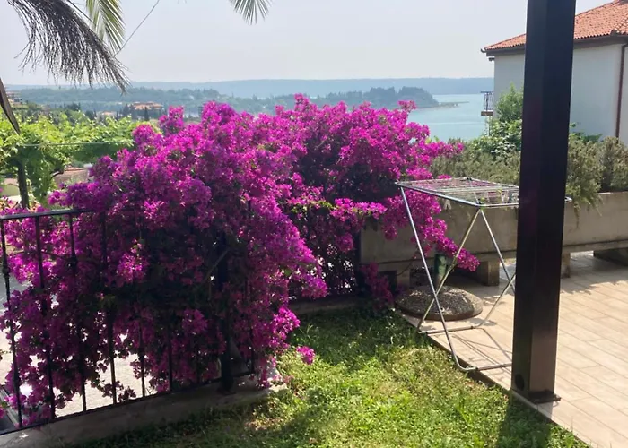 Apartments Portorose 公寓 *