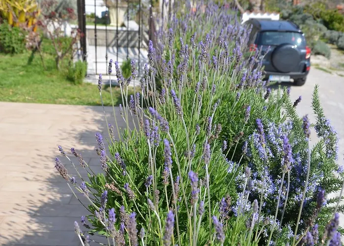 公寓 Apartments Portorose 波尔托罗