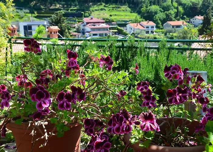 Apartments Portorose 公寓 波尔托罗