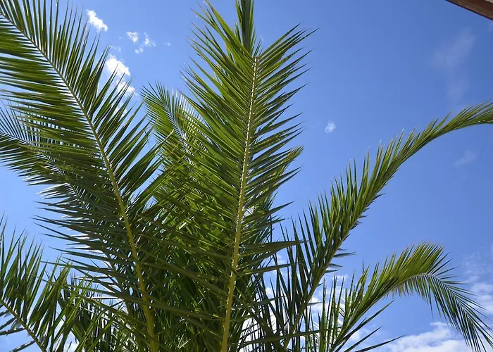 Apartments Portorose 波尔托罗